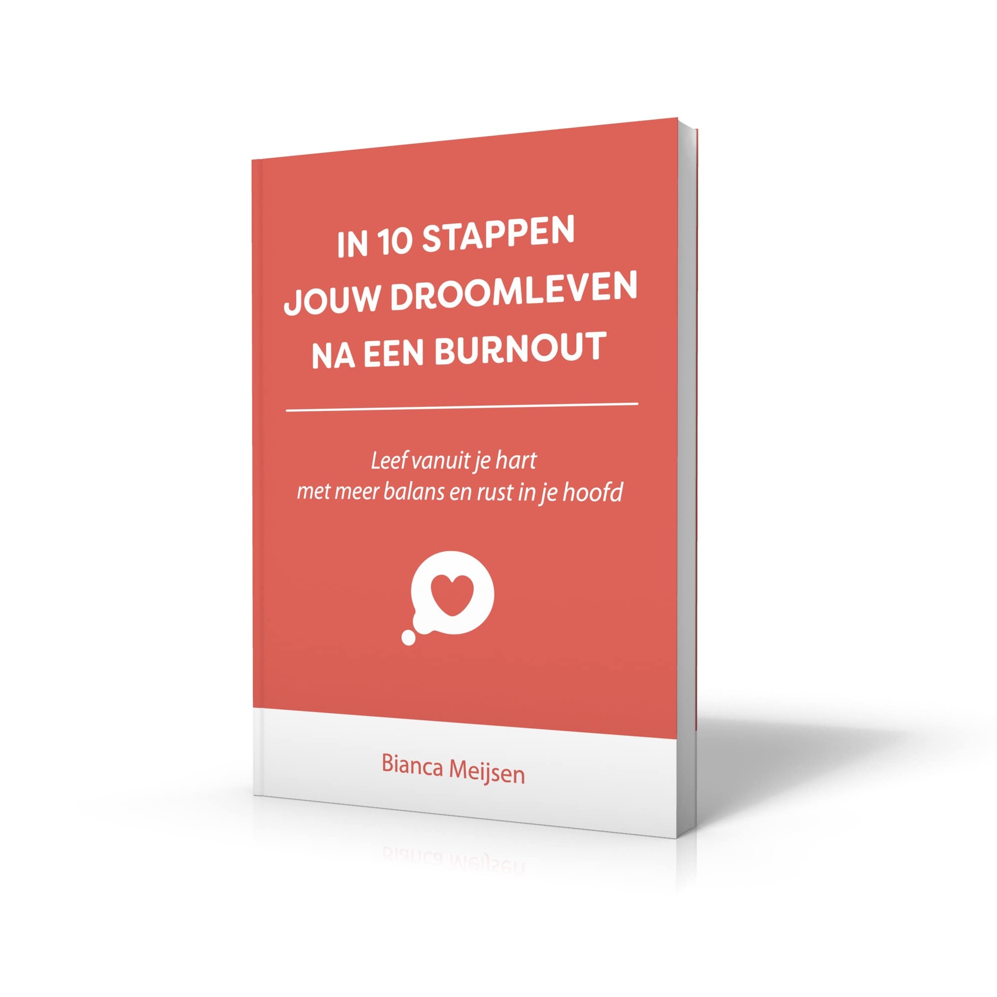 Boek - In 10 stappen jouw droomleven na een burnout