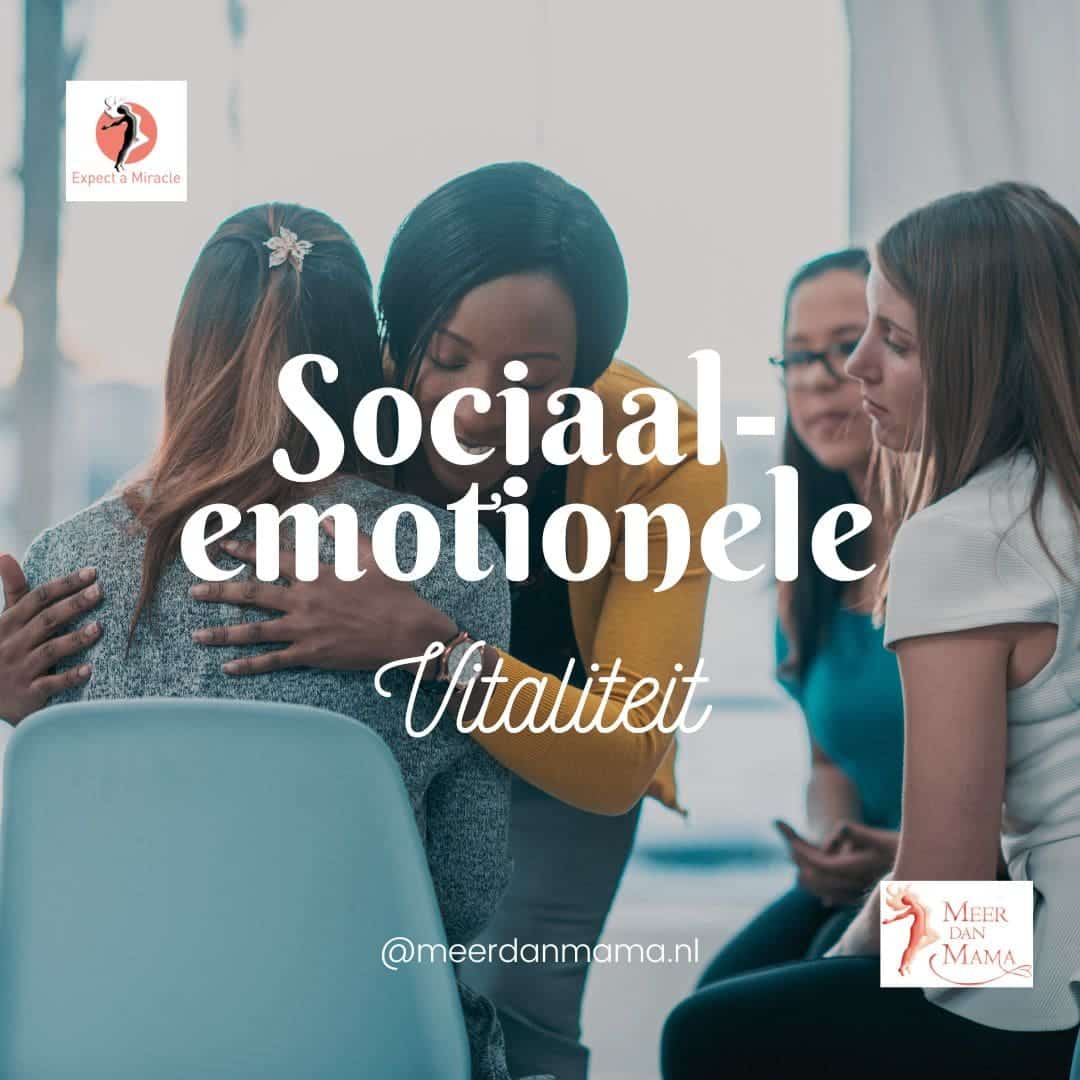 Sociaal-Emotionele Vitaliteit