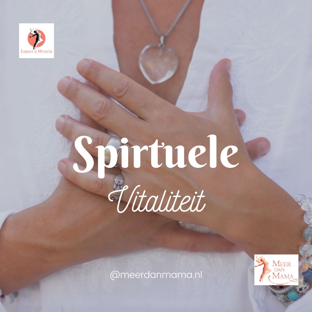 Spirituele Vitaliteit