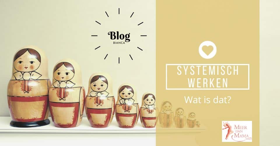 Wat is Systemisch Werk?