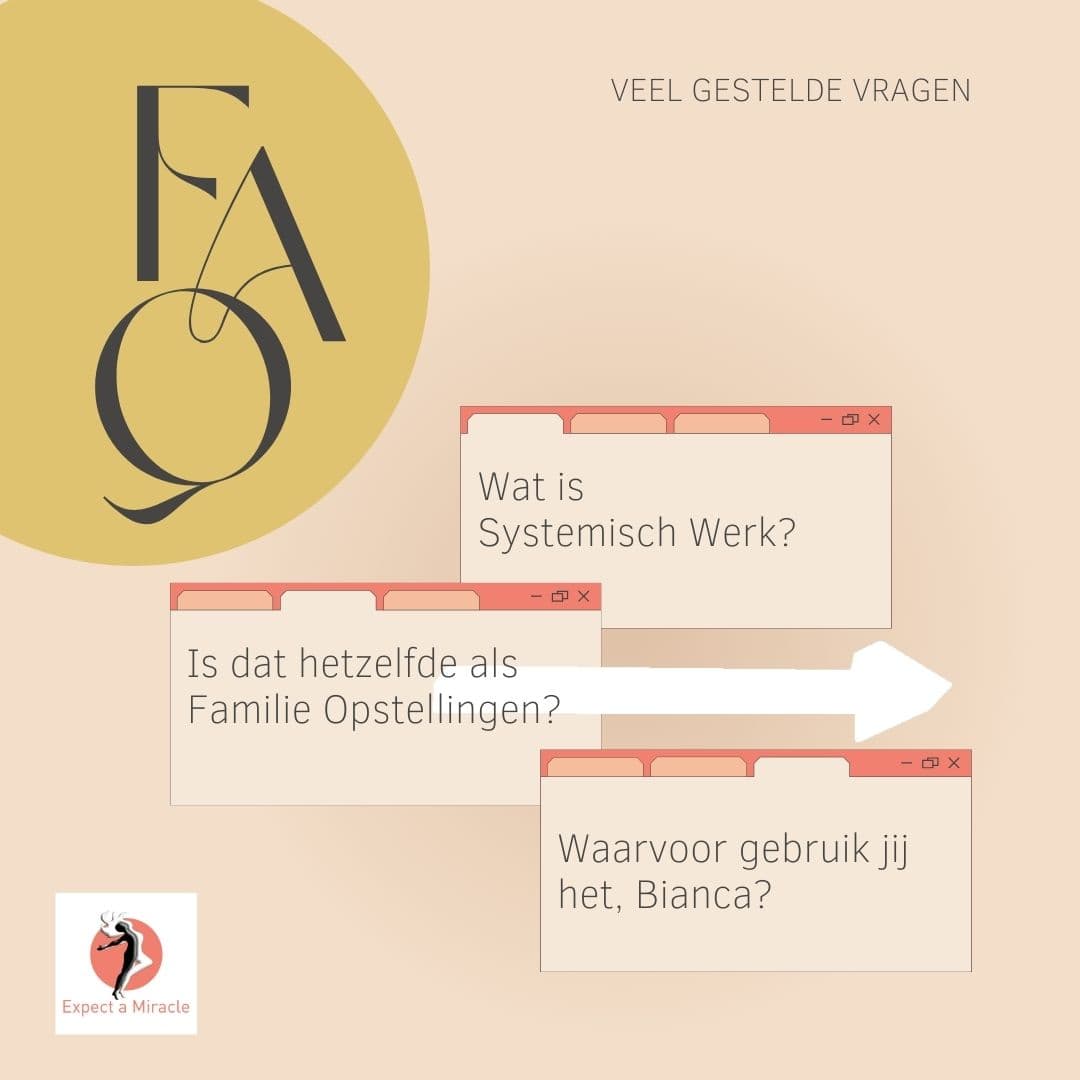 FAQ Systemisch Werk